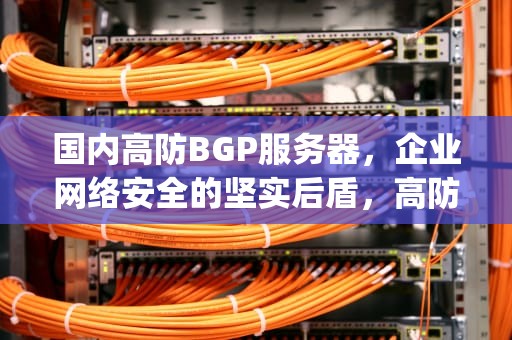 国内高防BGP服务器，企业网络安全的坚实后盾，高防护bgp服务器