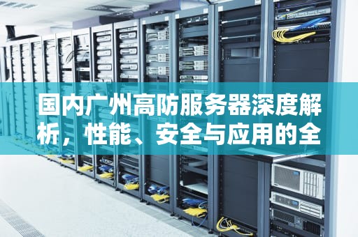 国内广州高防服务器深度解析，性能、安全与应用的全面指南，广东高防服务器