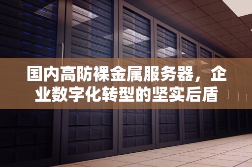 国内高防裸金属服务器，企业数字化转型的坚实后盾