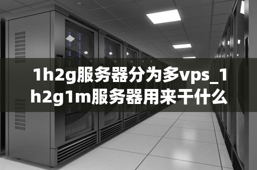 1h2g服务器分为多vps_1h2g1m服务器用来干什么_1h2g服务器的多VPS服务及其应用