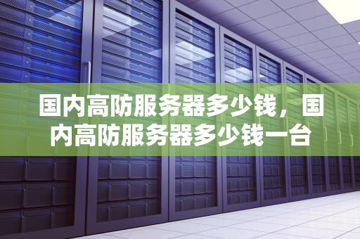 国内高防服务器多少钱，国内高防服务器多少钱一台