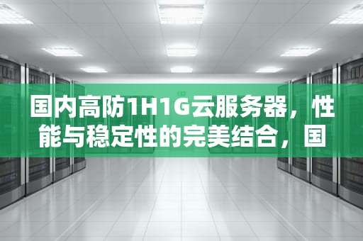 国内高防1H1G云服务器，性能与稳定性的完美结合，国内高防服务器哪个好