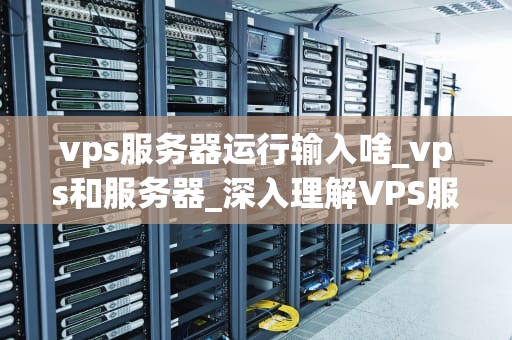 vps服务器运行输入啥_vps和服务器_深入理解VPS服务器的运行与输入