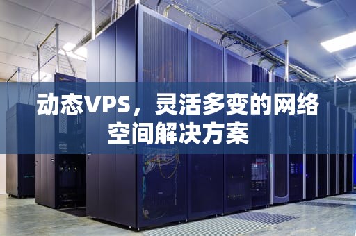 动态VPS，灵活多变的网络空间解决方案