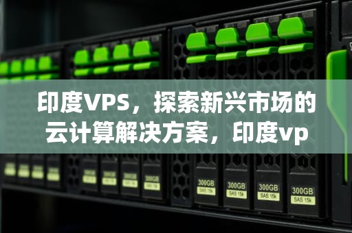 印度VPS，探索新兴市场的云计算解决方案，印度vps云服务器