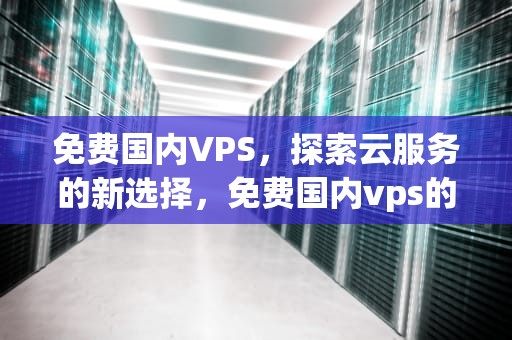 免费国内VPS，探索云服务的新选择，免费国内vps的五大注意事项
