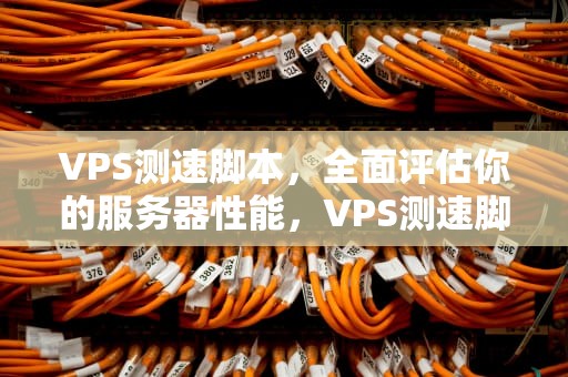 VPS测速脚本，全面评估你的服务器性能，VPS测速脚本