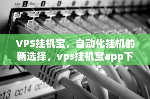 VPS挂机宝，自动化挂机的新选择，vps挂机宝app下载官网手机版