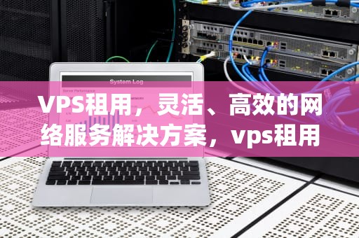 VPS租用，灵活、高效的网络服务解决方案，vps租用