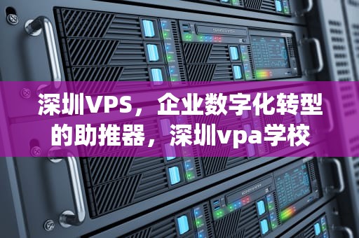深圳VPS，企业数字化转型的助推器，深圳vpa学校