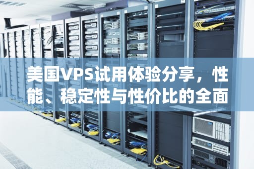 美国VPS试用体验分享，性能、稳定性与性价比的全面评估，美国vps的使用方法