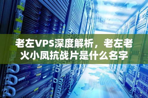 老左VPS深度解析，老左老火小凤抗战片是什么名字