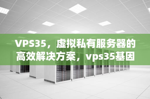 VPS35，虚拟私有服务器的高效解决方案，vps35基因