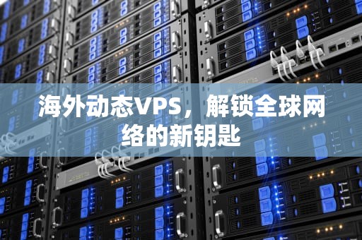 海外动态VPS，解锁全球网络的新钥匙