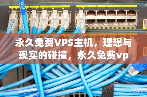 永久免费VPS主机，理想与现实的碰撞，永久免费vps主机游戏