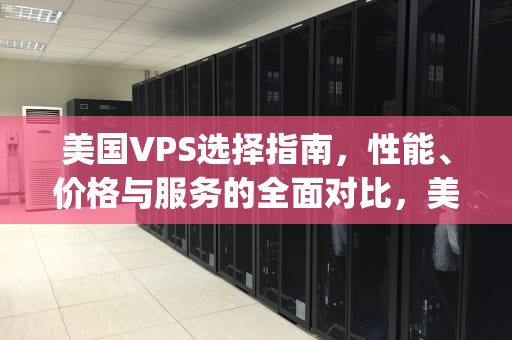 美国VPS选择指南，性能、价格与服务的全面对比，美国vps的使用方法