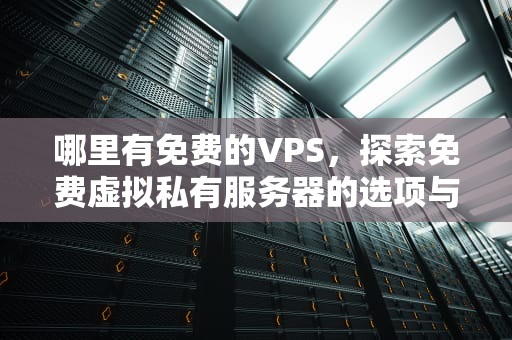哪里有免费的VPS，探索免费虚拟私有服务器的选项与注意事项，哪里有免费的电视剧网站