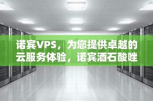 诺宾VPS，为您提供卓越的云服务体验，诺宾酒石酸唑吡坦片价格