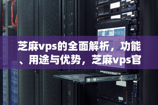 芝麻vps的全面解析，功能、用途与优势，芝麻vps官网