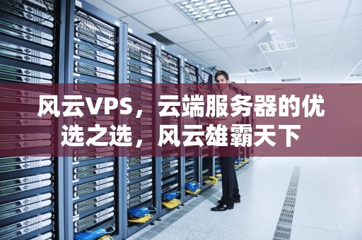 风云VPS，云端服务器的优选之选，风云雄霸天下