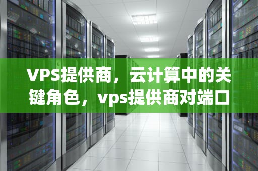 VPS提供商，云计算中的关键角色，vps提供商对端口有要求吗