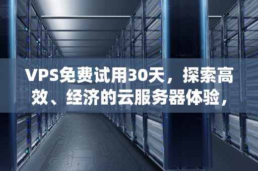 VPS免费试用30天，探索高效、经济的云服务器体验，vps 免费