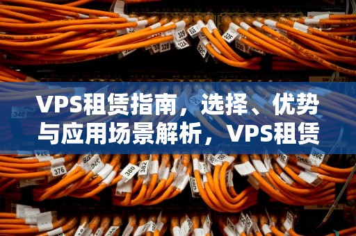 VPS租赁指南，选择、优势与应用场景解析，VPS租赁
