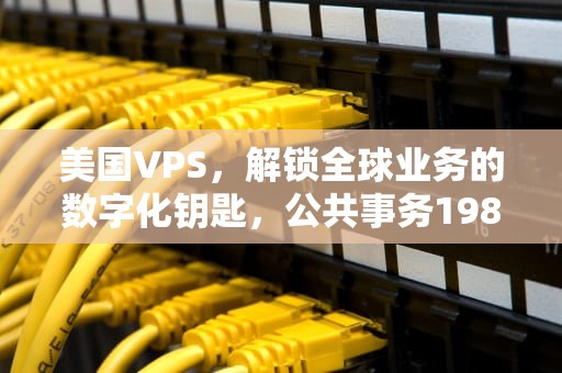 美国VPS，解锁全球业务的数字化钥匙，公共事务1983美国