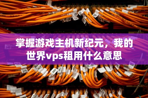 掌握游戏主机新纪元，我的世界vps租用什么意思