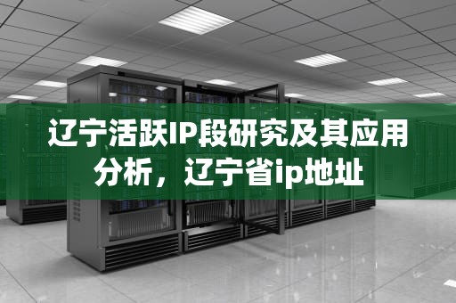 辽宁活跃IP段研究及其应用分析，辽宁省ip地址