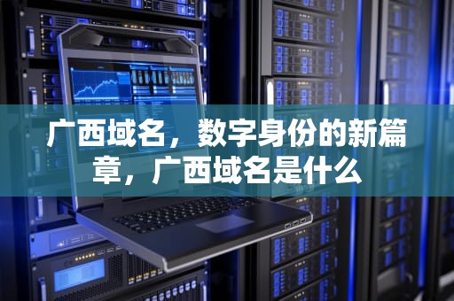 广西域名，数字身份的新篇章，广西域名是什么