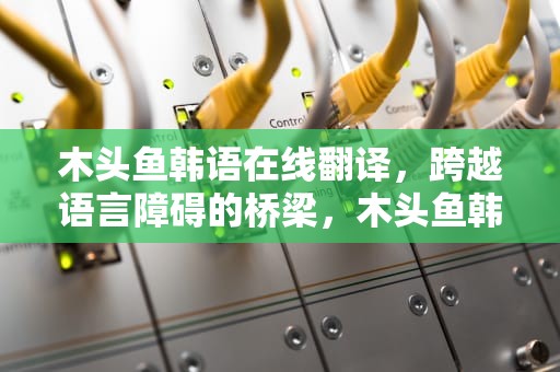 木头鱼韩语在线翻译，跨越语言障碍的桥梁，木头鱼韩语在线翻译中文