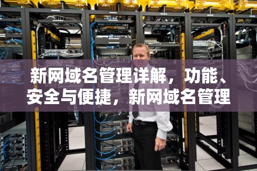 新网域名管理详解，功能、安全与便捷，新网域名管理平台登陆