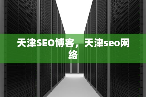 天津SEO博客，天津seo网络