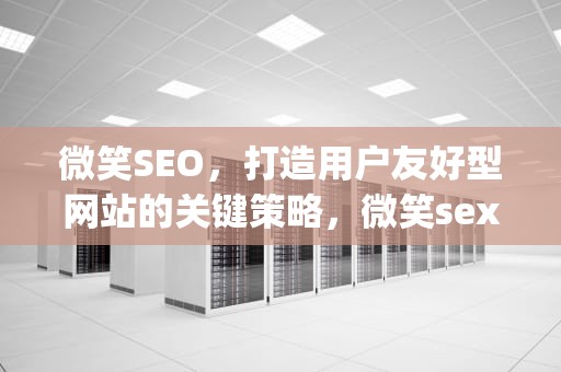 微笑SEO，打造用户友好型网站的关键策略，微笑sex in your career