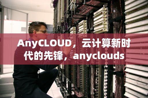 AnyCLOUD，云计算新时代的先锋，anyclouds