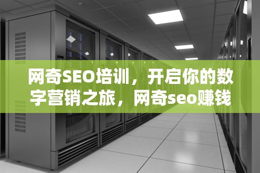 网奇SEO培训，开启你的数字营销之旅，网奇seo赚钱培训