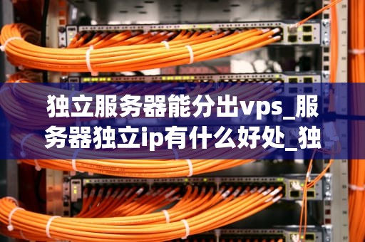 独立服务器能分出vps_服务器独立ip有什么好处_独立服务器与VPS的深度解析