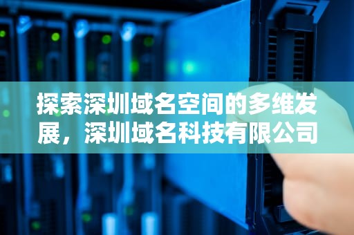 探索深圳域名空间的多维发展，深圳域名科技有限公司