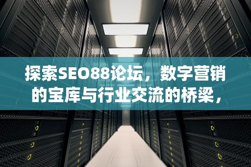 探索SEO88论坛，数字营销的宝库与行业交流的桥梁，seowhy论坛