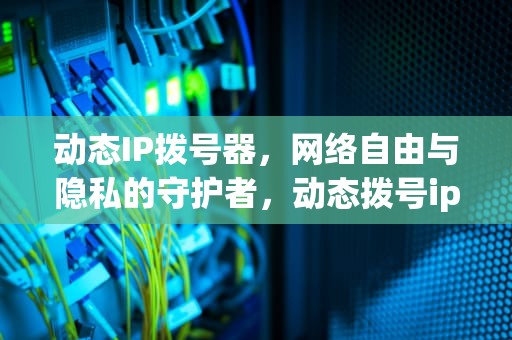 动态IP拨号器，网络自由与隐私的守护者，动态拨号ip地址