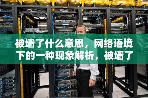 被墙了什么意思，网络语境下的一种现象解析，被墙了啥意思