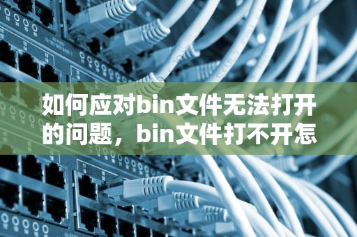如何应对bin文件无法打开的问题，bin文件打不开怎么办解决