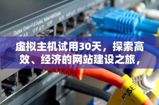 虚拟主机试用30天，探索高效、经济的网站建设之旅，虚拟主机试用30天什么意思