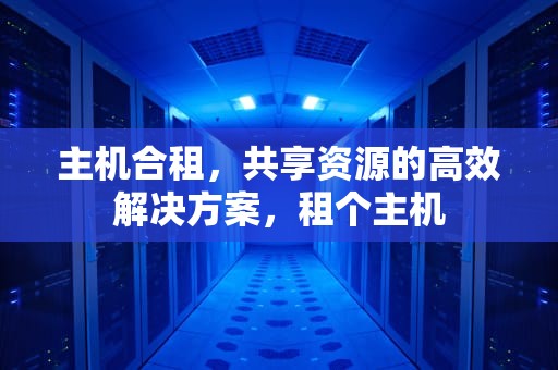 主机合租，共享资源的高效解决方案，租个主机