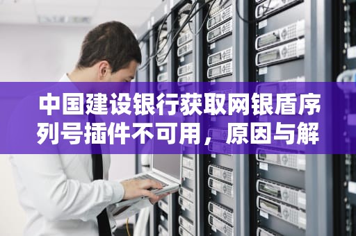 中国建设银行获取网银盾序列号插件不可用，原因与解决方案，中国建设银行获取网银盾序列号插件不可用怎么解决