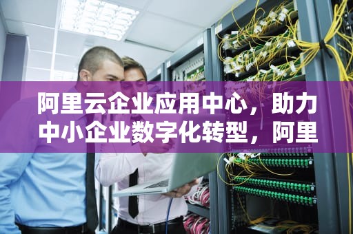 阿里云企业应用中心，助力中小企业数字化转型，阿里云企业应用中心官网