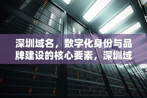 深圳域名，数字化身份与品牌建设的核心要素，深圳域名备案需要多久