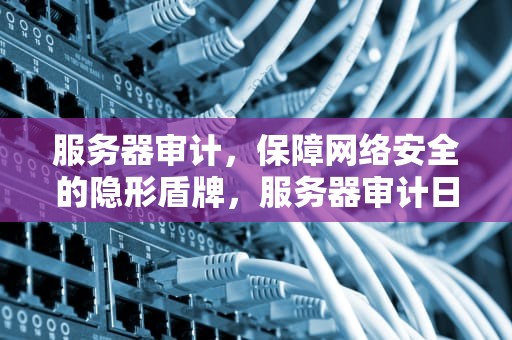 服务器审计，保障网络安全的隐形盾牌，服务器审计日志