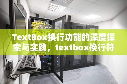 TextBox换行功能的深度探索与实践，textbox换行符